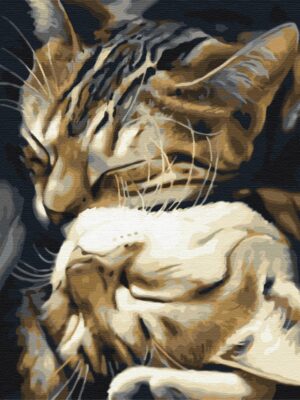 Сплячі котики