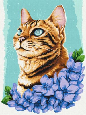 Лазурний котик © Anna Kulyk