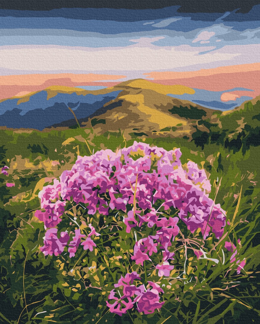 Картина за номерами "Цвітіння Карпат © Roksolana Baran"