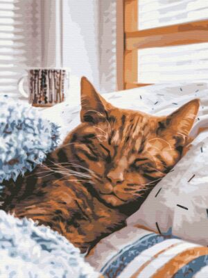 Ранковий котик