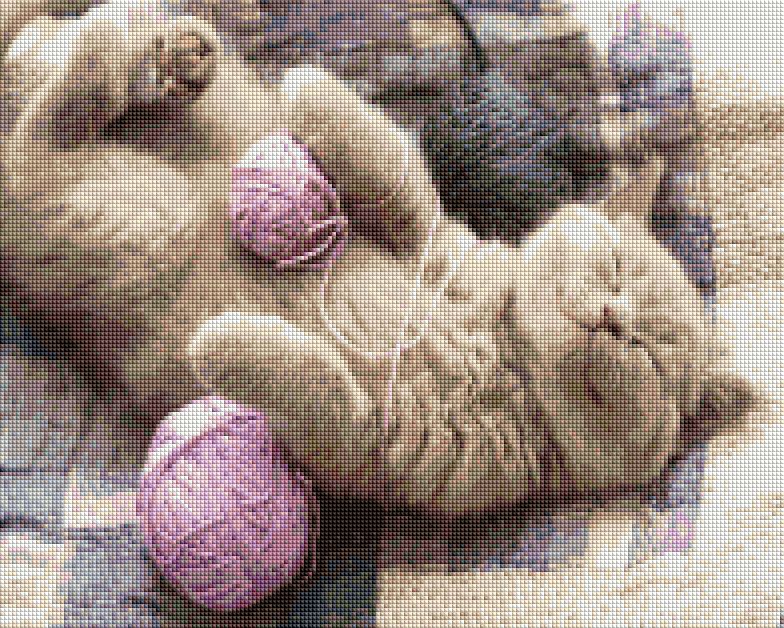 Алмазна мозаїка "Кошенятко з клубочком"