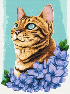 Лазурний котик © Anna Kulyk